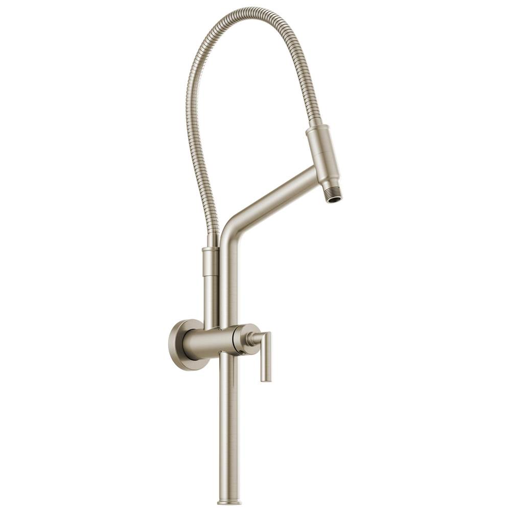 Brizo Universal Showering 10 7/16'' Linear Round Slide Bar Shower Arm And Flange