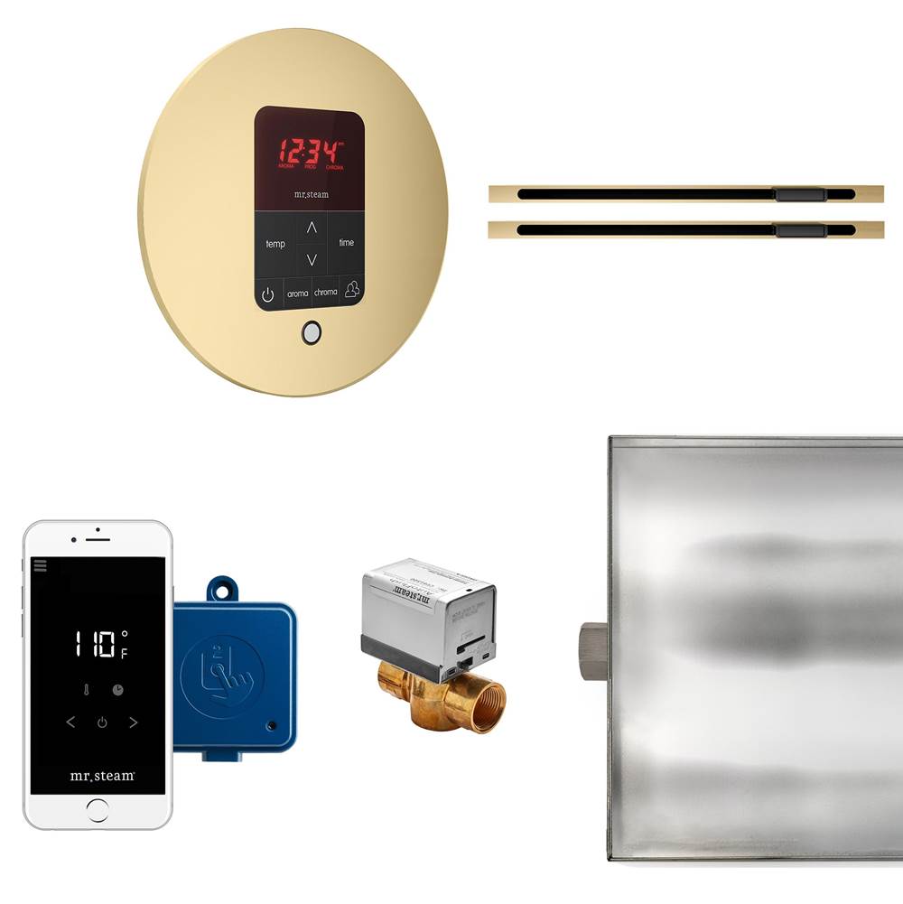 Mr. Steam Butler Max Linear Steam Shower Control Package with iTempoPlus Control and Linear SteamHead in Round Satin Brass