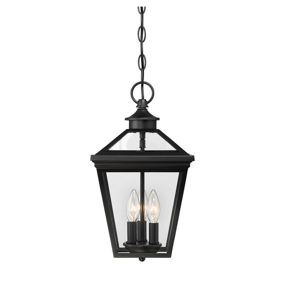 Savoy House Ellijay 3-Light Outdoor Hanging Lantern in Black